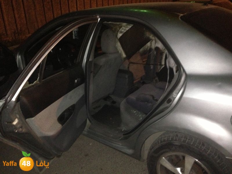 firelud608608 (15).jpg